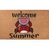 Clearance 30 in. Green Welcome Summer Crab and Watermelon Coir Doormat Home Rugs
