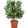 Outlet 30 in. Hosta Topiary Plant in Brown Round Growers Pot Potted Plants