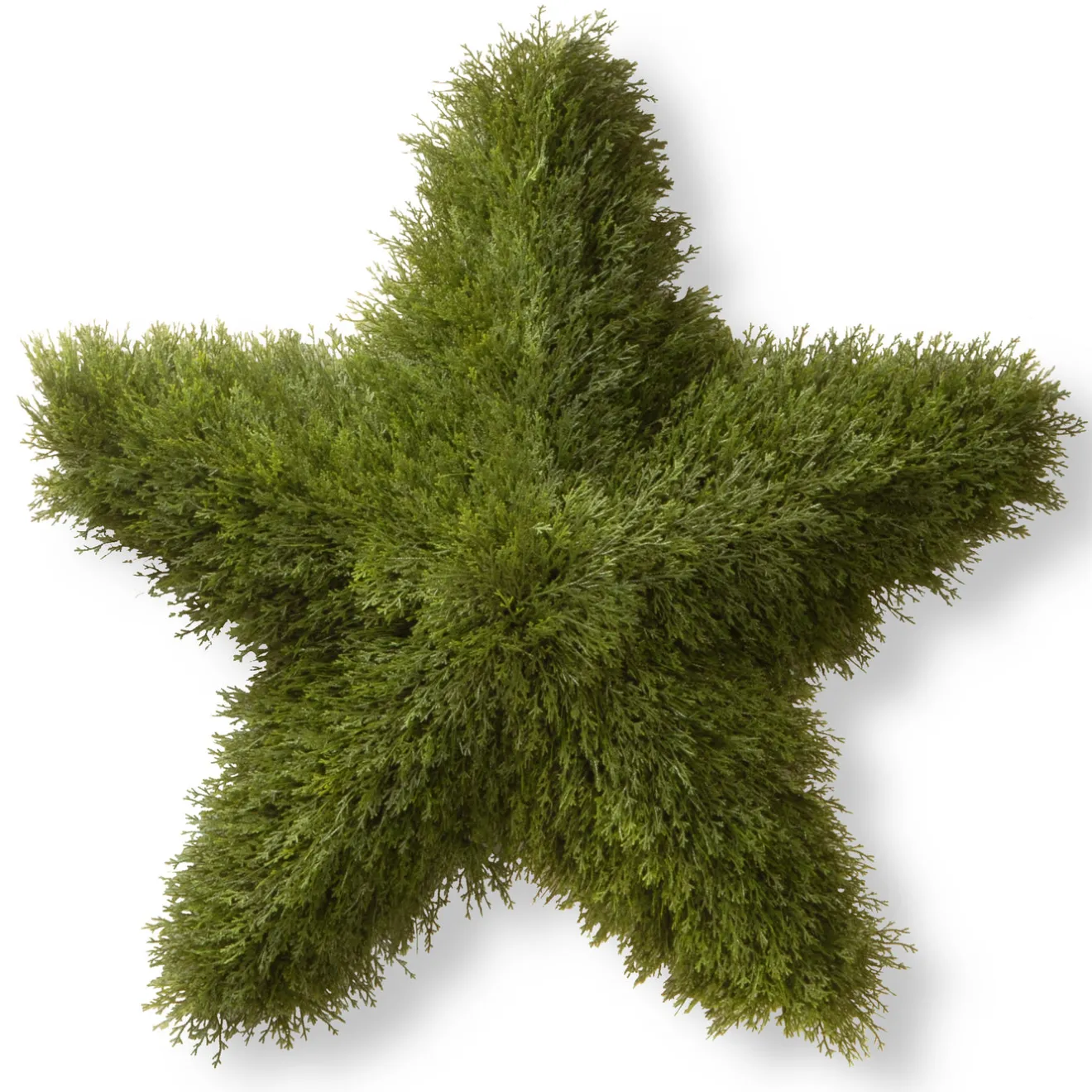 Clearance 36 in. Juniper Star Wreath Unlit Christmas Wreaths|25-36 Inch Christmas Wreaths