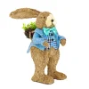 Outlet 10 in. Male Bunny in Blue Coat Table Decoration Table Decorations