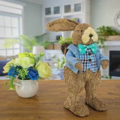 Outlet 10 in. Male Bunny in Blue Coat Table Decoration Table Decorations