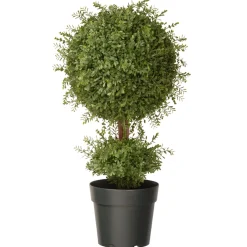 Discount 30 in. Mini Tea Leaf 1 Ball in Green Round Growers Pot Topiaries & Shrubs