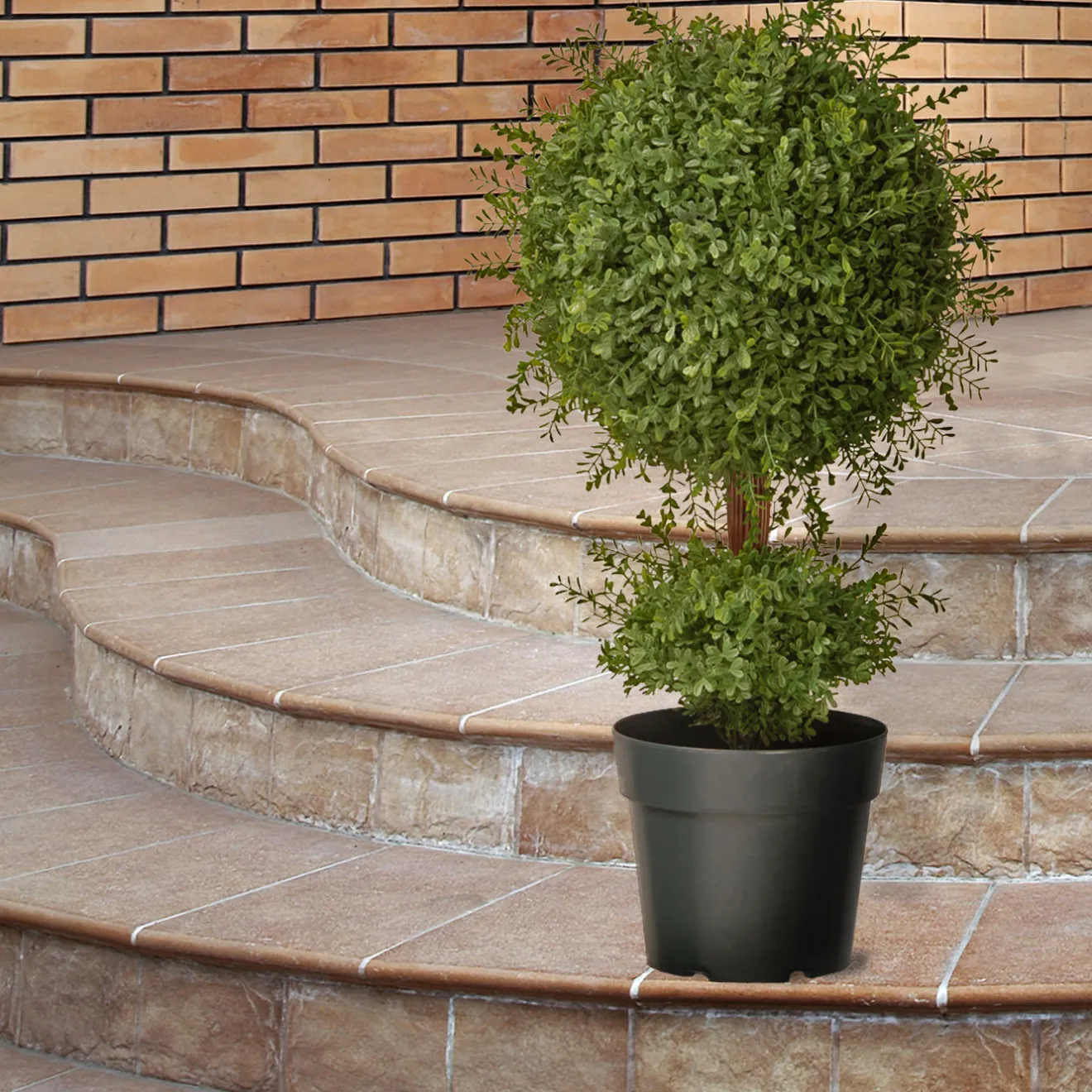 Discount 30 in. Mini Tea Leaf 1 Ball in Green Round Growers Pot Topiaries & Shrubs