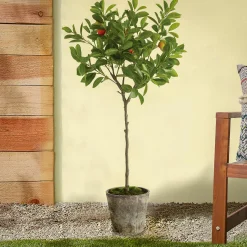 Outlet 41 in. Potted Orange Topiary Tree Topiaries & Shrubs