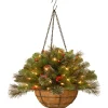 Online 20 in. Pre-Lit Crestwood Spruce Hanging Basket with LED Lights Hanging Baskets