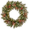 Best 30 in. Pre-Lit Frosted Pine Berry Wreath with LED Lights Pre-Lit Christmas Wreaths|25-36 Inch Christmas Wreaths