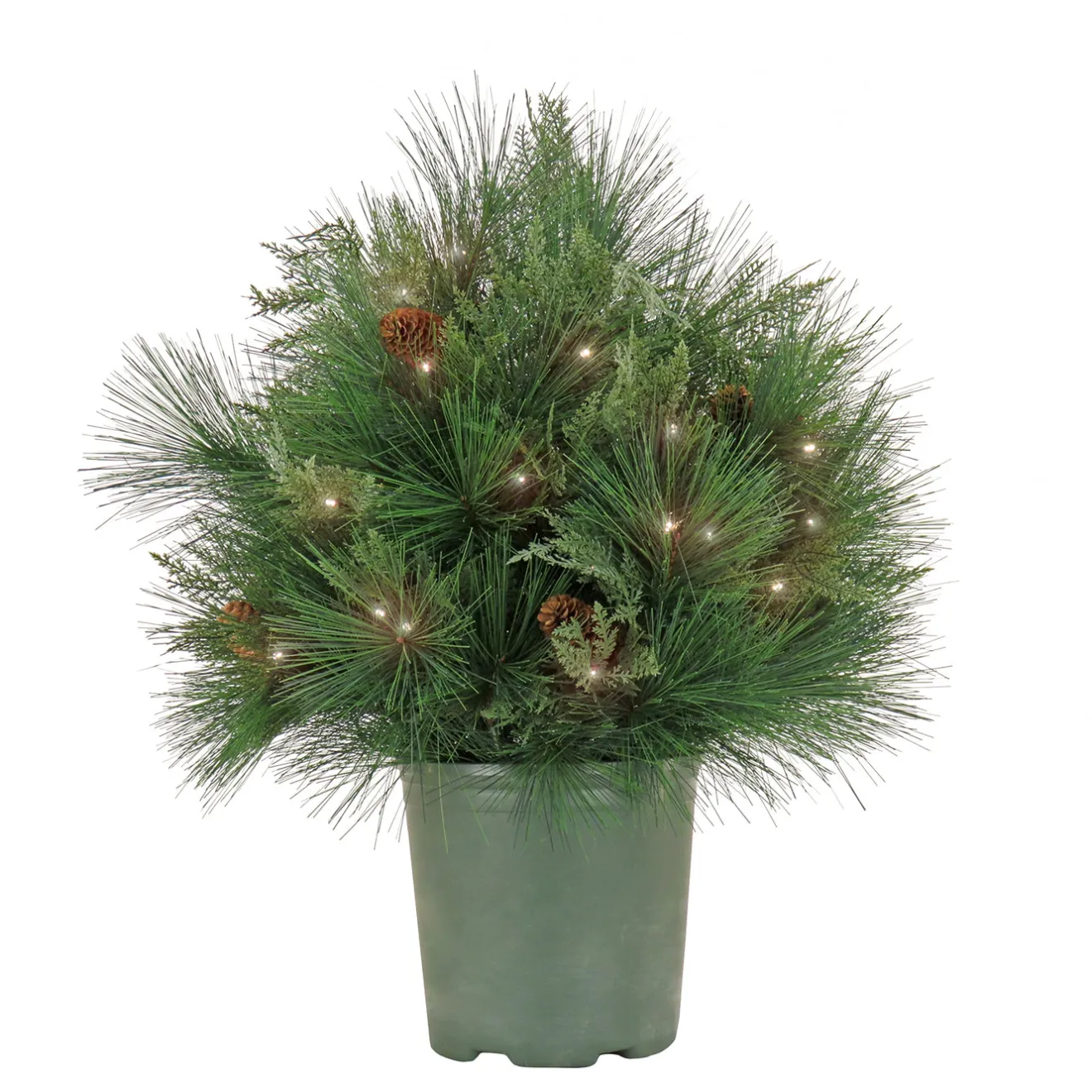 Online 26 in. Pre-Lit HGTV Home Collection Black Tie Planter Filler Topiaries Arrangements
