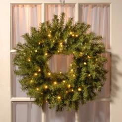 24 in. Pre-Lit Norwood Fir Wreath with Twinkly LED Lights Pre-Lit Christmas Wreaths|21-24 Inch Christmas Wreaths