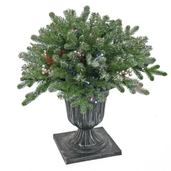 Outlet 24 in. Pre-Lit Snowy Morgan Spruce Porch Bush with Twinkly LED Lights Topiaries Arrangements