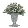 Online 24 in. Pre-Lit Snowy Sheffield Spruce Porch Bush with Twinkly LED Lights Topiaries Arrangements