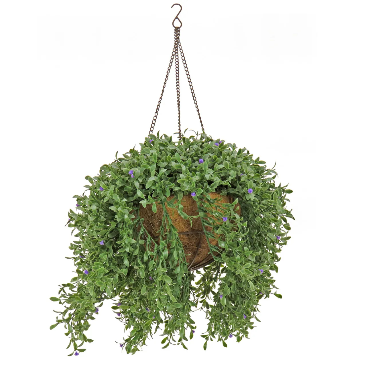 Hot 18 in. Spring Argentea Hanging Plant with Purple Flowers Hanging Plants