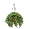 Sale 18 in. Spring Argentea Hanging Plant with Yellow Flowers Hanging Plants