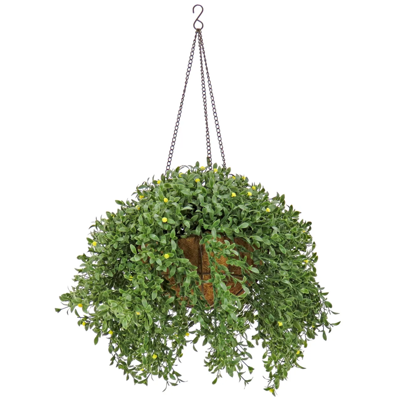 Sale 18 in. Spring Argentea Hanging Plant with Yellow Flowers Hanging Plants