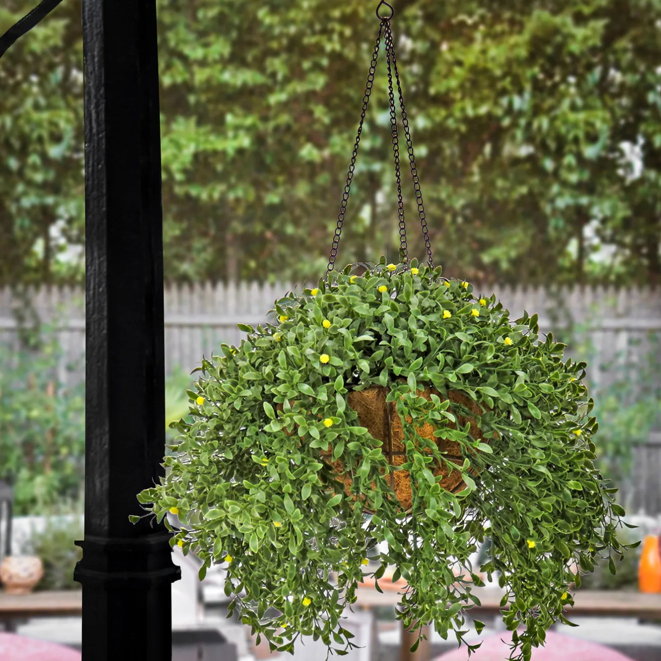Sale 18 in. Spring Argentea Hanging Plant with Yellow Flowers Hanging Plants