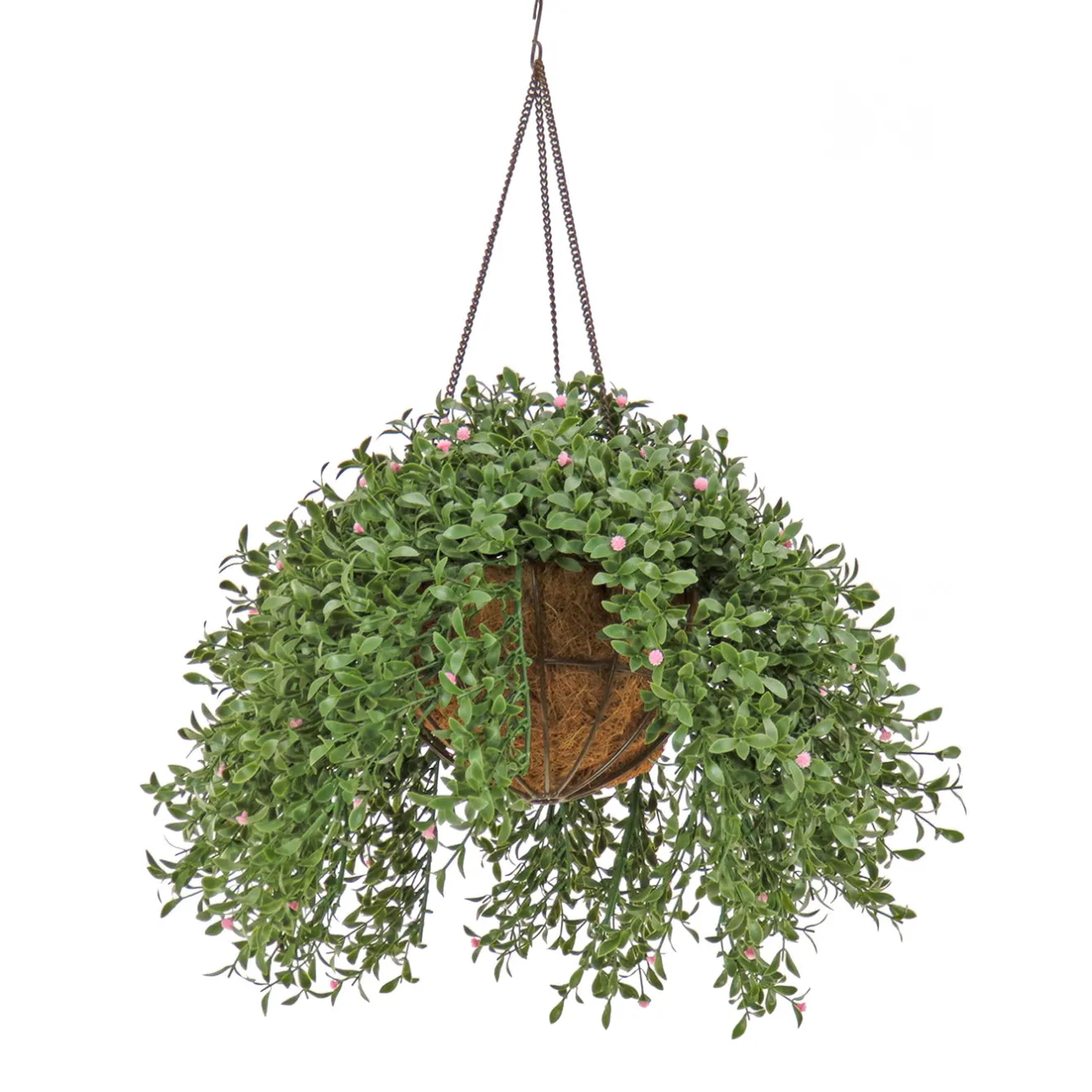 Sale 18 in. Spring Argentea Hanging Plant with Pink Flowers Hanging Plants