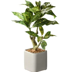 Clearance 11 in. Spring Croton Tree Potted Plant in a Stylish Ceramic Pot Base Potted Plants