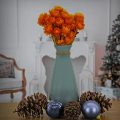 Outlet 16 in. Spring Dried Orange Capeblumen Flowers Bouquet Flower Arrangements