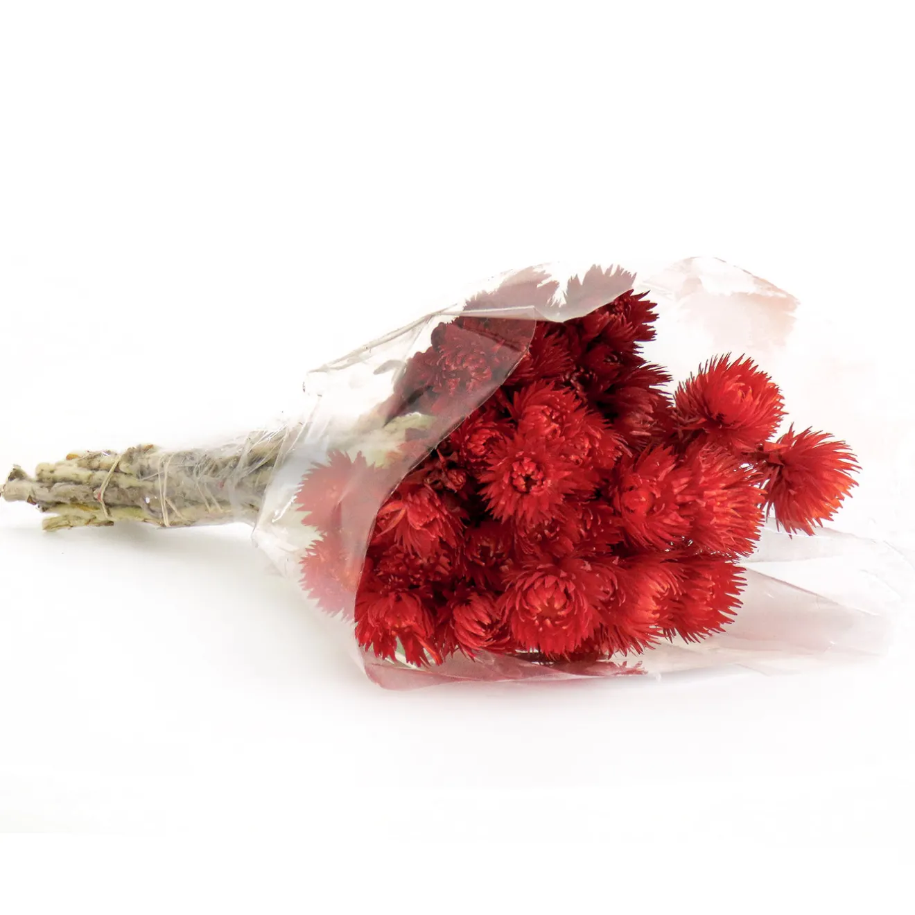 Sale 16 in. Spring Dried Red Capeblumen Flowers Bouquet Flower Arrangements