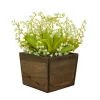 Sale 10 in. Spring Green Lily-of-the-Valley Flowers in Wood Box Potted Plants