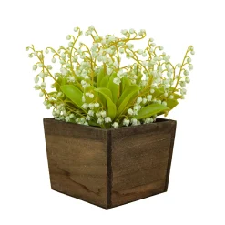 Sale 10 in. Spring Green Lily-of-the-Valley Flowers in Wood Box Potted Plants