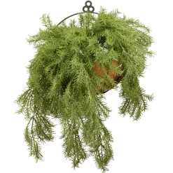 Hot 20 in. Spring Green Pine Branch Wall Basket Hanging Plants