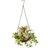 Outlet 9 in Spring Hanging Basket with Green Leaf Plants, Vines in a Brown Pot Hanging Plants