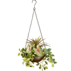 Outlet 9 in Spring Hanging Basket with Green Leaf Plants, Vines in a Brown Pot Hanging Plants