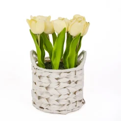 10 in. Spring Light Yellow Tulip Bouquet in White Basket Flower Arrangements