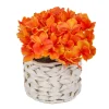 Discount 10 in. Spring Orange Hydrangea Bouquet in White Basket Flower Arrangements