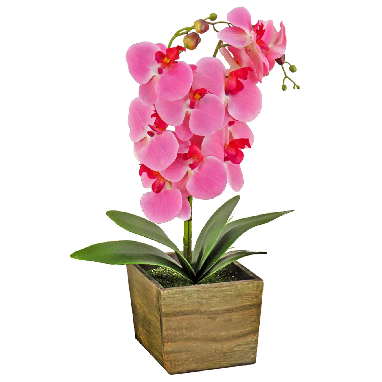 Discount 21 in. Spring Pink Orchid Flower in Wood Box Potted Plants