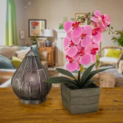 Discount 21 in. Spring Pink Orchid Flower in Wood Box Potted Plants