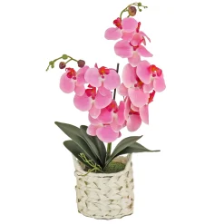 Hot 21 in. Spring Pink Orchid in White Basket Potted Plants
