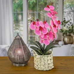 Hot 21 in. Spring Pink Orchid in White Basket Potted Plants