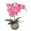 Discount 21 in. Spring Pink Orchid in Silver Smooth Ceramic Pot Potted Plants