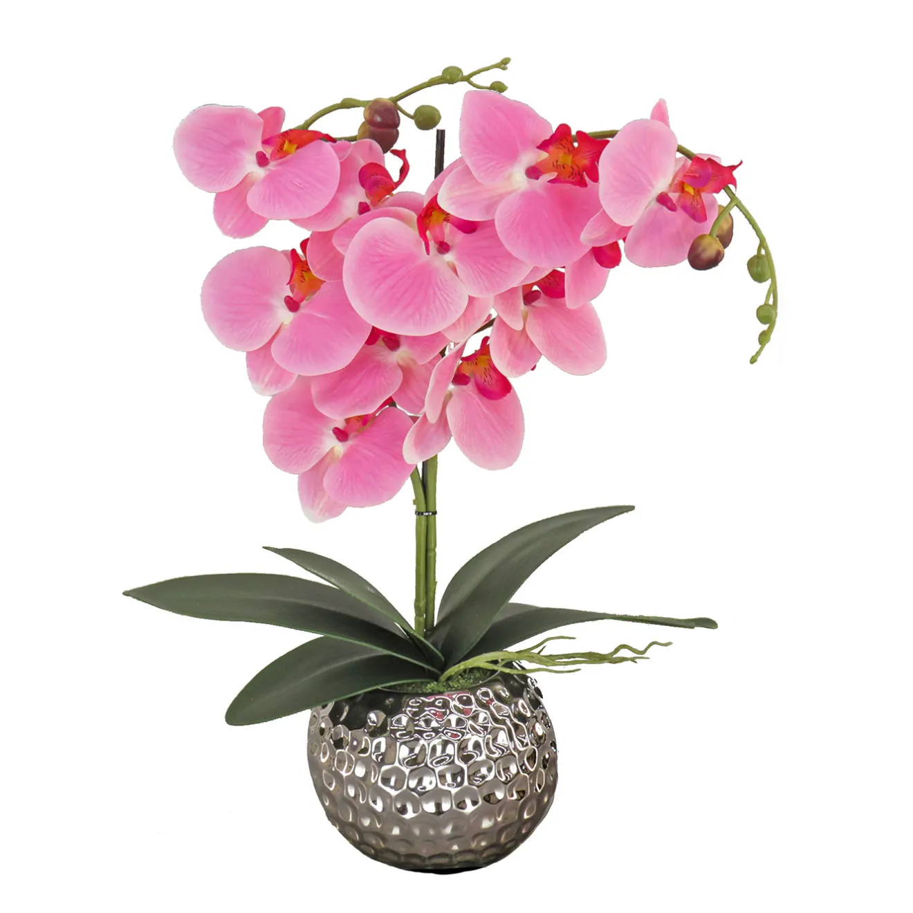 Discount 21 in. Spring Pink Orchid in Silver Smooth Ceramic Pot Potted Plants