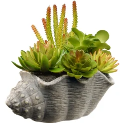 Best 11 in. Spring Potted Plant with Various Green and Orange Succulents in a Stylish Conch Shell Cement Pot Potted Plants