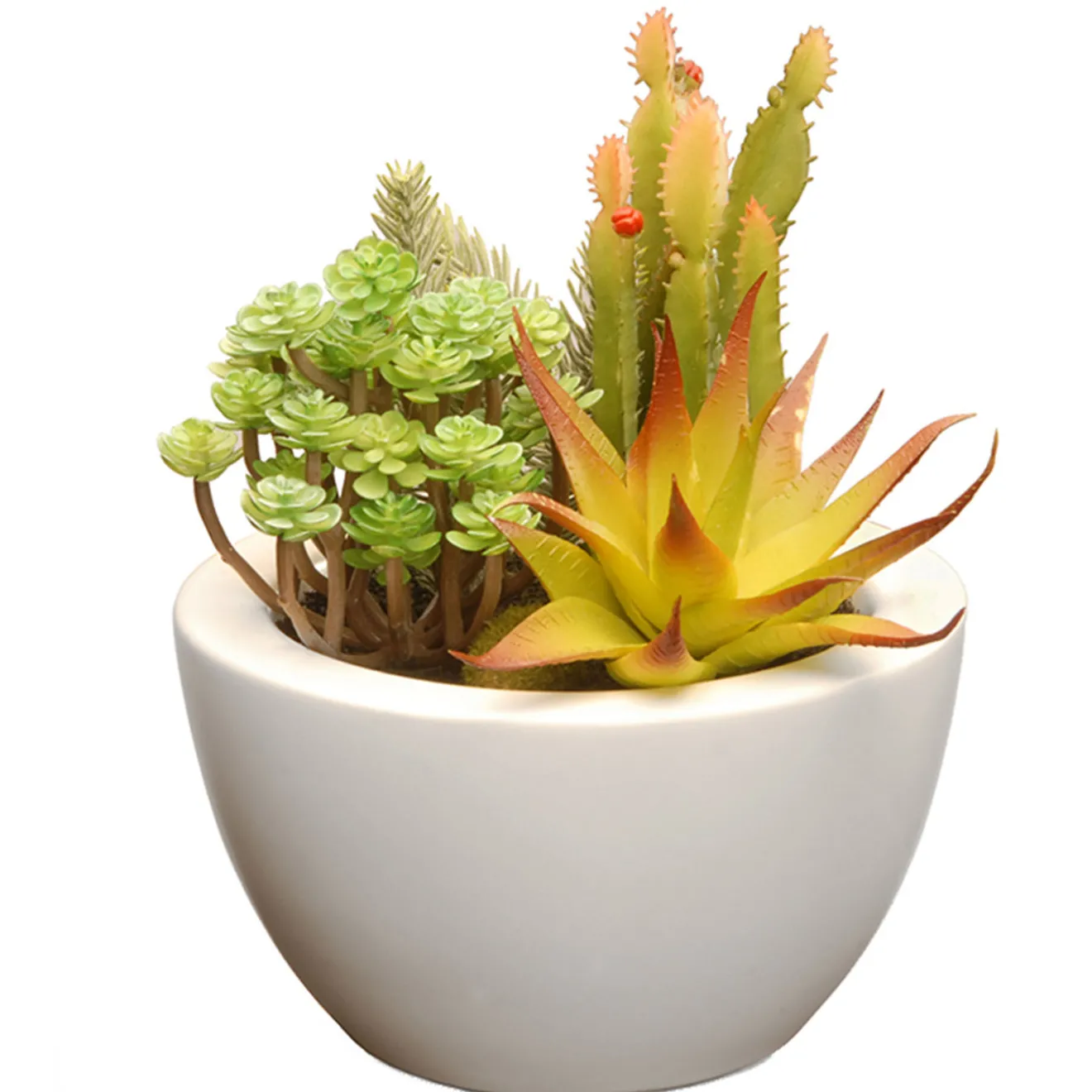 8 in. Spring Potted Plant with Various Green Succulents in a Stylish White Ceramic Base Potted Plants