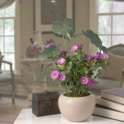Hot 18 in. Spring Purple Flower Blooms Potted Plant in a Cream Ceramic Pot Potted Plants