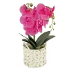 New 21 in. Spring Purple Orchid in White Basket Potted Plants