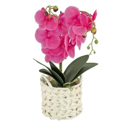 New 21 in. Spring Purple Orchid in White Basket Potted Plants
