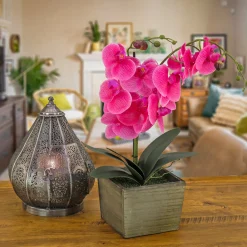 Outlet 21 in. Spring Purple Orchid Flower in Wood Box Potted Plants