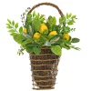 Best 21 in. Spring Wall Hanging Basket with Lemons, Seed Pods, Leafy Greens Hanging Plants
