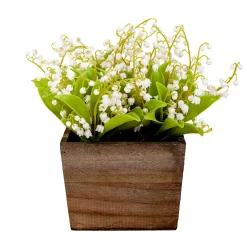 New 10 in. Spring White Lily-of-the-Valley Flowers in Wood Box Potted Plants