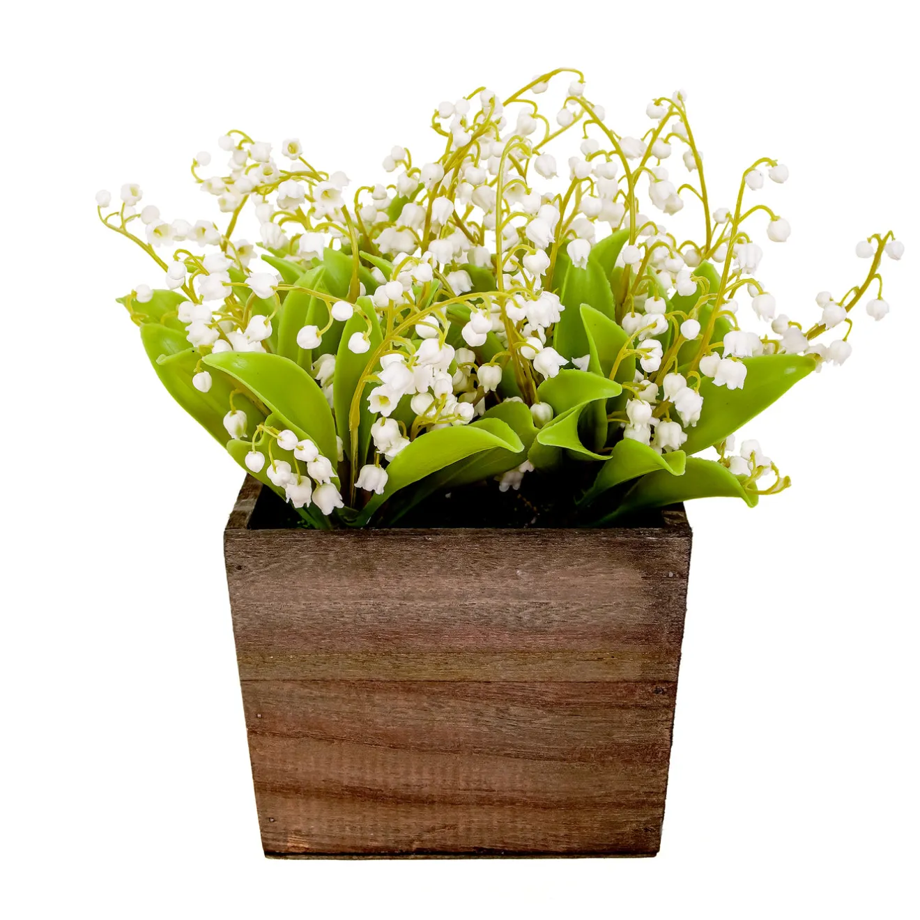 New 10 in. Spring White Lily-of-the-Valley Flowers in Wood Box Potted Plants