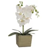 Clearance 21 in. Spring White Orchid Flower in Wood Box Potted Plants