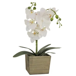 Clearance 21 in. Spring White Orchid Flower in Wood Box Potted Plants