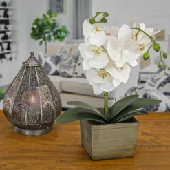 Clearance 21 in. Spring White Orchid Flower in Wood Box Potted Plants