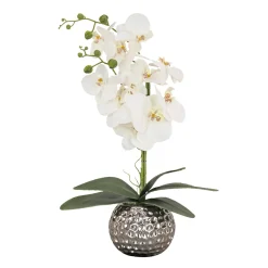 Clearance 21 in. Spring White Orchid in Silver Smooth Ceramic Pot Potted Plants