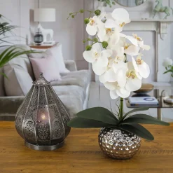 Clearance 21 in. Spring White Orchid in Silver Smooth Ceramic Pot Potted Plants