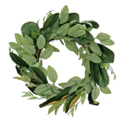 Clearance 22 in. Spring Wreath with Eucalyptus Leaves, Magnolia Blooms, Flowing Green Stems Wreaths